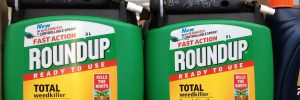 Roundup - glyphosphate base herbicide